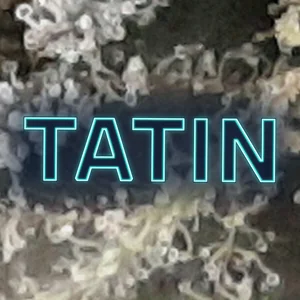Tatin Cannabis Strain