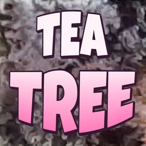 Tea Tree Cannabis Strain