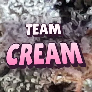 Team Cream Cannabis Strain