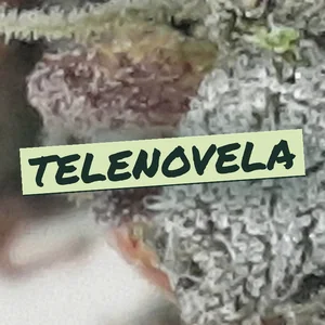 Telenovela Cannabis Strain