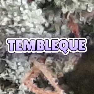 Tembleque Cannabis Strain
