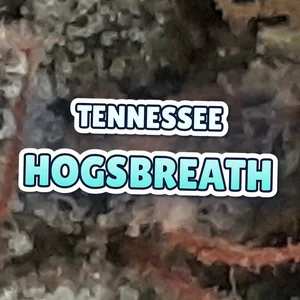 Tennessee Hogsbreath Cannabis Strain
