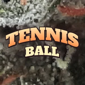 Tennis Ball Cannabis Strain