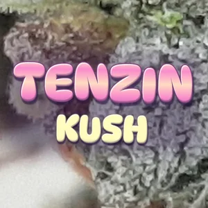 Tenzin Kush Cannabis Strain