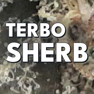 Terbo Sherb Cannabis Strain
