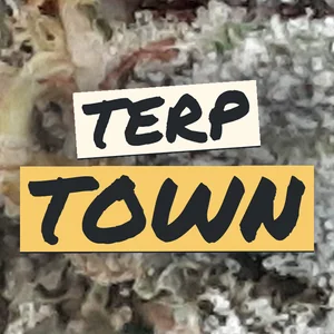Terp Town Cannabis Strain