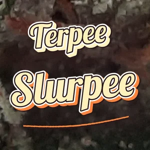 Terpee Slurpee Cannabis Strain