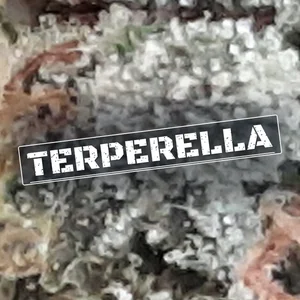 Terperella Cannabis Strain