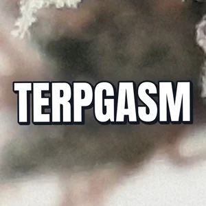 Terpgasm Cannabis Strain