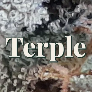 Terple Cannabis Strain