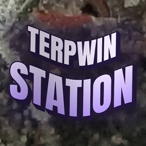 Terpwin Station Cannabis Strain