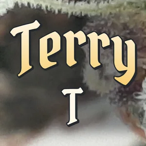 Terry T Cannabis Strain