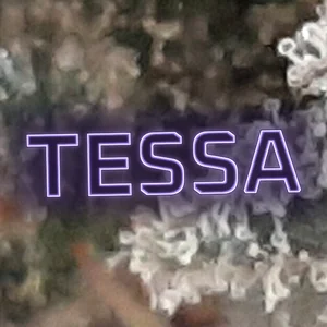 Tessa Cannabis Strain
