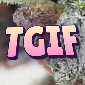 TGIF Cannabis Strain