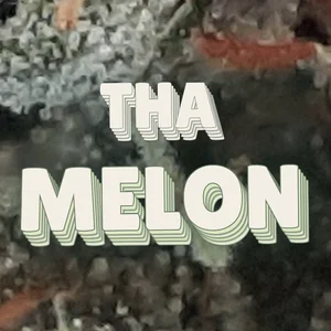 Tha Melon Cannabis Strain