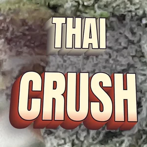 Thai Crush Cannabis Strain