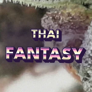 Thai Fantasy Cannabis Strain