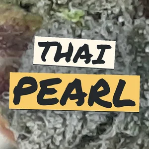 Thai Pearl Cannabis Strain