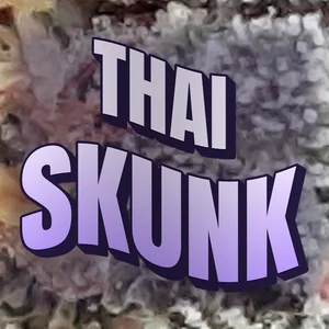 Thai Skunk Cannabis Strain
