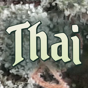 Thai Cannabis Strain