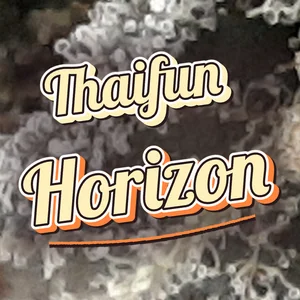 Thaifun Horizon Cannabis Strain