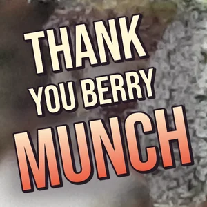 Thank You Berry Munch Cannabis Strain