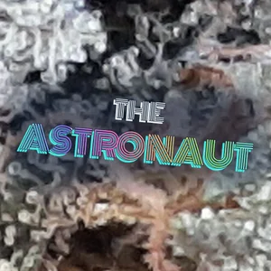 The Astronaut Cannabis Strain