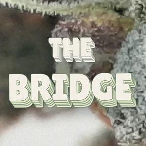 The Bridge Cannabis Strain