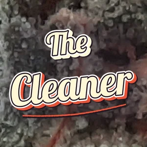 The Cleaner Cannabis Strain