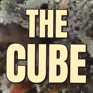 The Cube Cannabis Strain