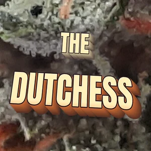 The Dutchess Cannabis Strain