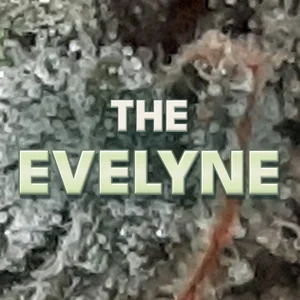 The Evelyne Cannabis Strain