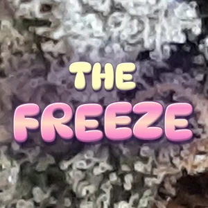 The Freeze Cannabis Strain