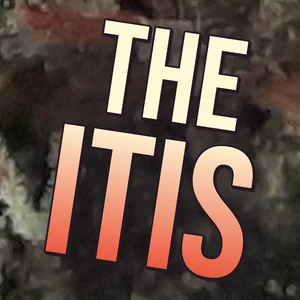 The Itis Cannabis Strain