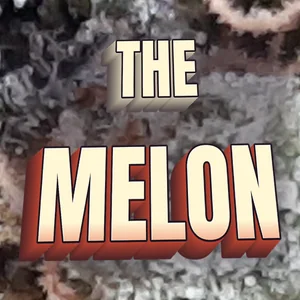 The Melon Cannabis Strain