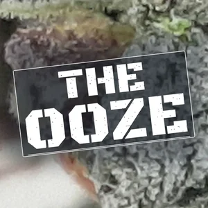 The Ooze Cannabis Strain