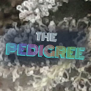 The Pedigree Cannabis Strain