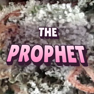 The Prophet Cannabis Strain
