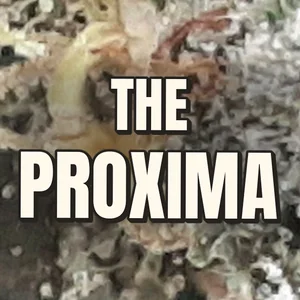 The Proxima Cannabis Strain