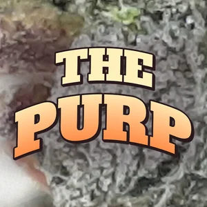 The Purp Cannabis Strain