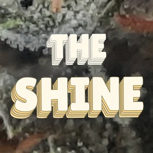 The Shine Cannabis Strain