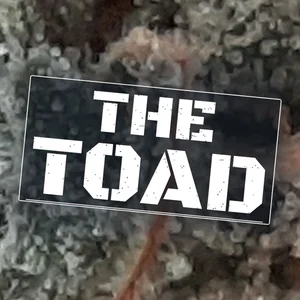 The Toad Cannabis Strain