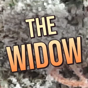The Widow Cannabis Strain
