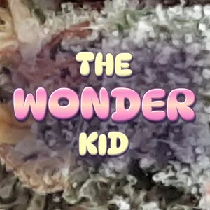The Wonder Kid Cannabis Strain
