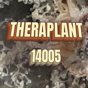 Theraplant 14005 Cannabis Strain