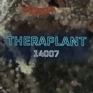 Theraplant 14007 Cannabis Strain
