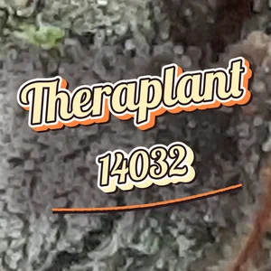 Theraplant 14032 Cannabis Strain