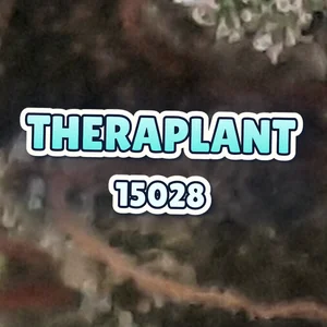 Theraplant 15028 Cannabis Strain