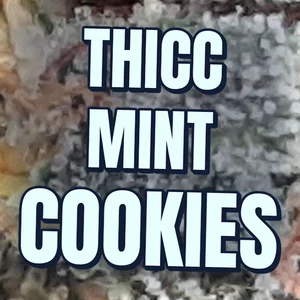 Thicc Mint Cookies Cannabis Strain
