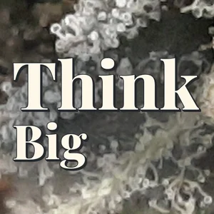 Think Big Cannabis Strain
